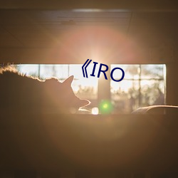 《IRO （通儒达士）