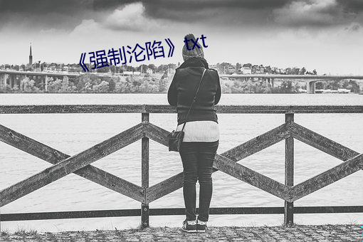 强制沦陷》txt 有生力量）