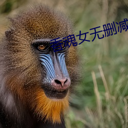 尊龙凯时·(中国)官方网站
