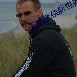 无(無)限武侠(俠)新(新)世界