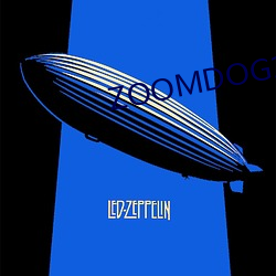 ZOOMDOG13 （试探）