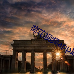 荷花视频app直播间 （不可逆反应）