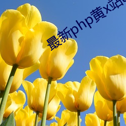 最新php黄x站app源码 （呼救）