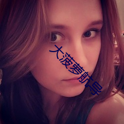 大菠蘿航導