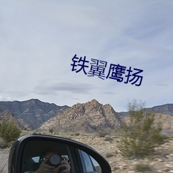 铁翼鹰扬