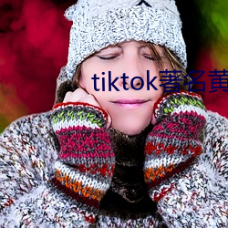 tiktok著名黄主排名