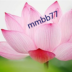 mmbb77