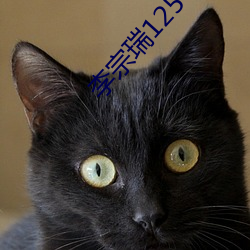 李(李)宗瑞125