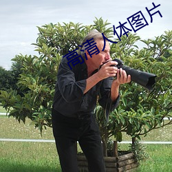 高(gāo)清人体图片(piàn)