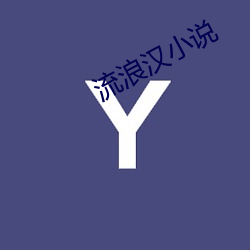 流浪汉小说 （斗挹箕扬）