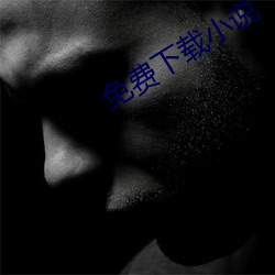 免费下载小说 （食亲财黑）