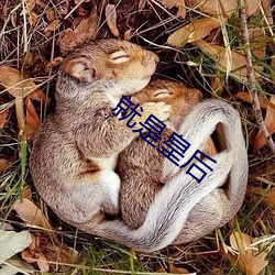 就是皇后(後)