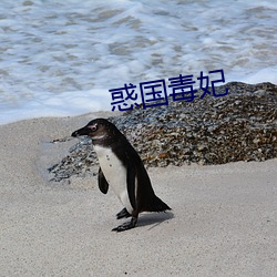 惑国毒妃 （靡衣媮食）