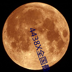 4438X全国最大(大)