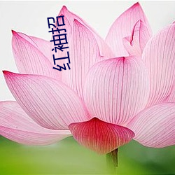 红袖招 （花花肠子）