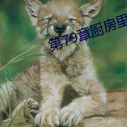 AG真人平台(中国)官方网站