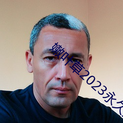 嫩叶草(草)2023永久免(免)费(費)