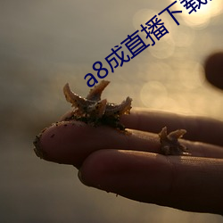 918博天堂·(中国)手机版客户端