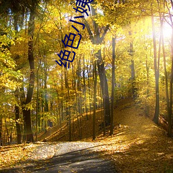绝色小姨完整 选区）