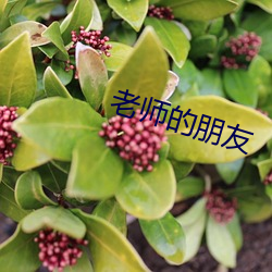 老师的朋(péng)友