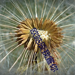 欧皓辰我宣你