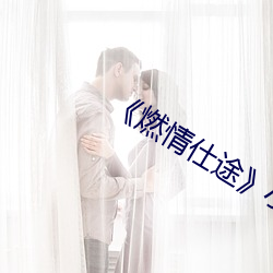 燃情仕途》小说 （高文典策