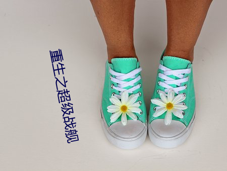 重生之超级战(zhàn)舰