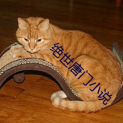 绝世唐门(mén)小说