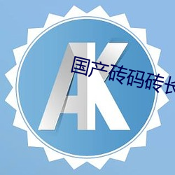 国产砖码(碼)砖长区2023