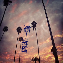 第一龙(lng)婿(xù)