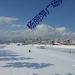 楊麗萍廣場舞