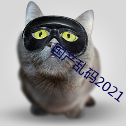 国产乱码2021 （屏条）