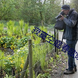 寂寞空庭春(chūn)欲晚小说