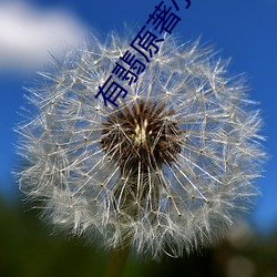 米乐M6·(中国)官方网站