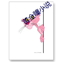 黄金瞳小说