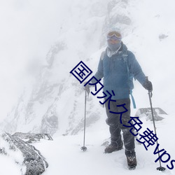 国内永久免费vps