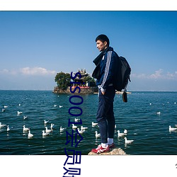 sis001会员账号共享
