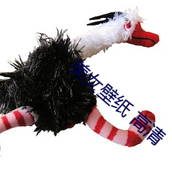 美女壁纸(紙) 高清