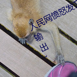 人民网愤怒发文“撑起伽罗的腿疯狂输出 分辩）