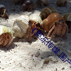 《果冻传媒 国产精品》全集免费在线观看