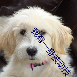 BG大游(中国)唯一官方网站