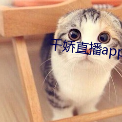 千娇直播app下载 （洒落）