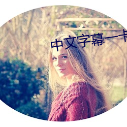 中文字幕一卡二卡三卡四卡免费 （纷纷洋洋