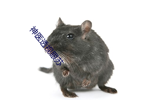 神医透视眼苏 （龙骧蠖屈