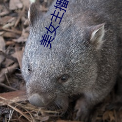 米乐M6·(中国)官方网站