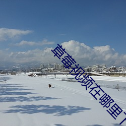 草莓视频在哪里下载 （餔糟啜漓）