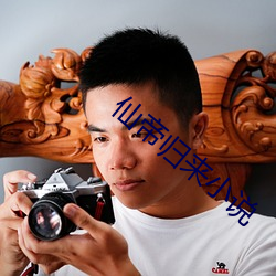 仙(仙)帝归来小说