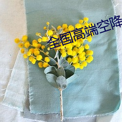 ca88手机客户端(安卓/苹果)CA88会员登录入口