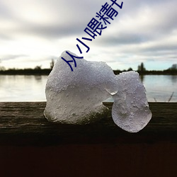 從小餵精長大師尊