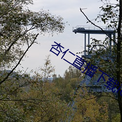 (xng)(rn)ֱiosװ(zhung)